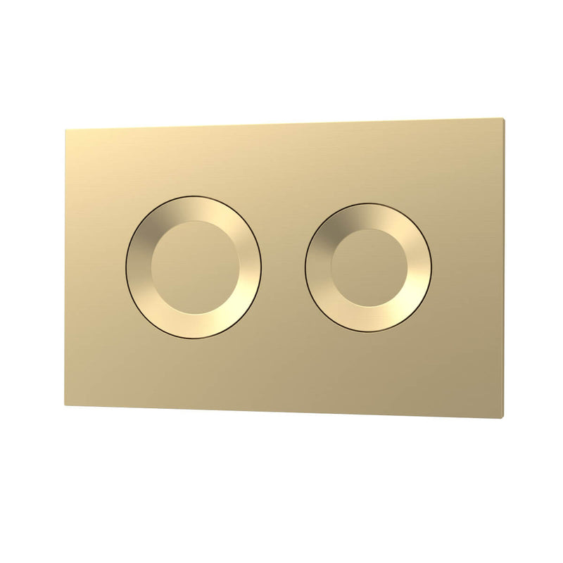 Standard Height Wall Hung WC Frame With Round Flush Plate - Brushed Brass