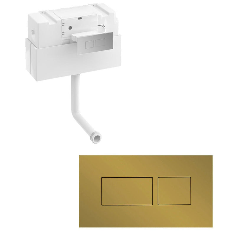 Britton Bathrooms Concealed Cistern With Dual Flush Plate - Brushed Brass