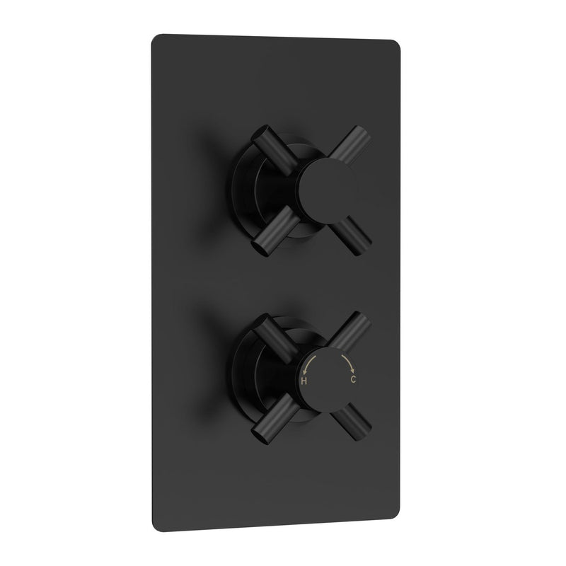 Hudson Reed Tec Cross 1 Outlet Twin Handle Concealed Thermostatic Shower Valve - Matt Black