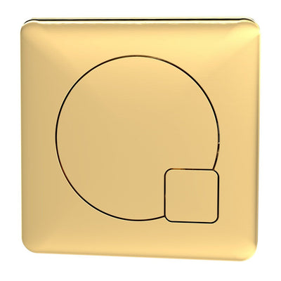 Nuie Dual Flush Button - Brushed Brass