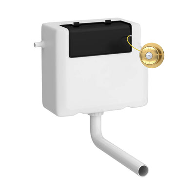 Universal Access Dual Flush Concealed Cistern With Traditional Flush Button - Brushed Brass